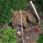 Justiça Federal dá 48 horas para Funai renovar restrições em Terra Indígena no Pará | Política