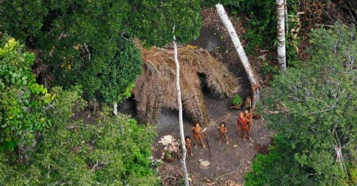 Justiça Federal dá 48 horas para Funai renovar restrições em Terra Indígena no Pará | Política