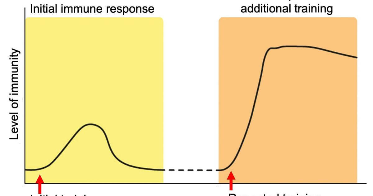 Speaking of Science: Is immunity from viral infection different than immunity from vaccination? | Lifestyles