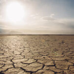 sexta extinción masiva del planeta