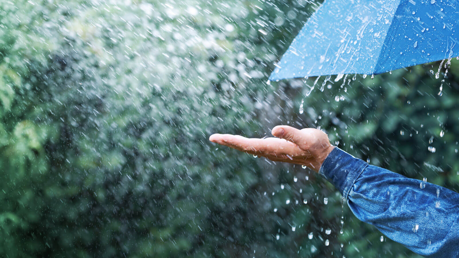 Climate-changed rainfall dampens economic growth » Yale Climate Connections