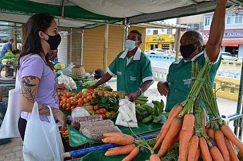 Coluna | Política Municipal de Agroecologia e