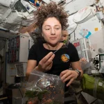 Astronaut eating a plant 