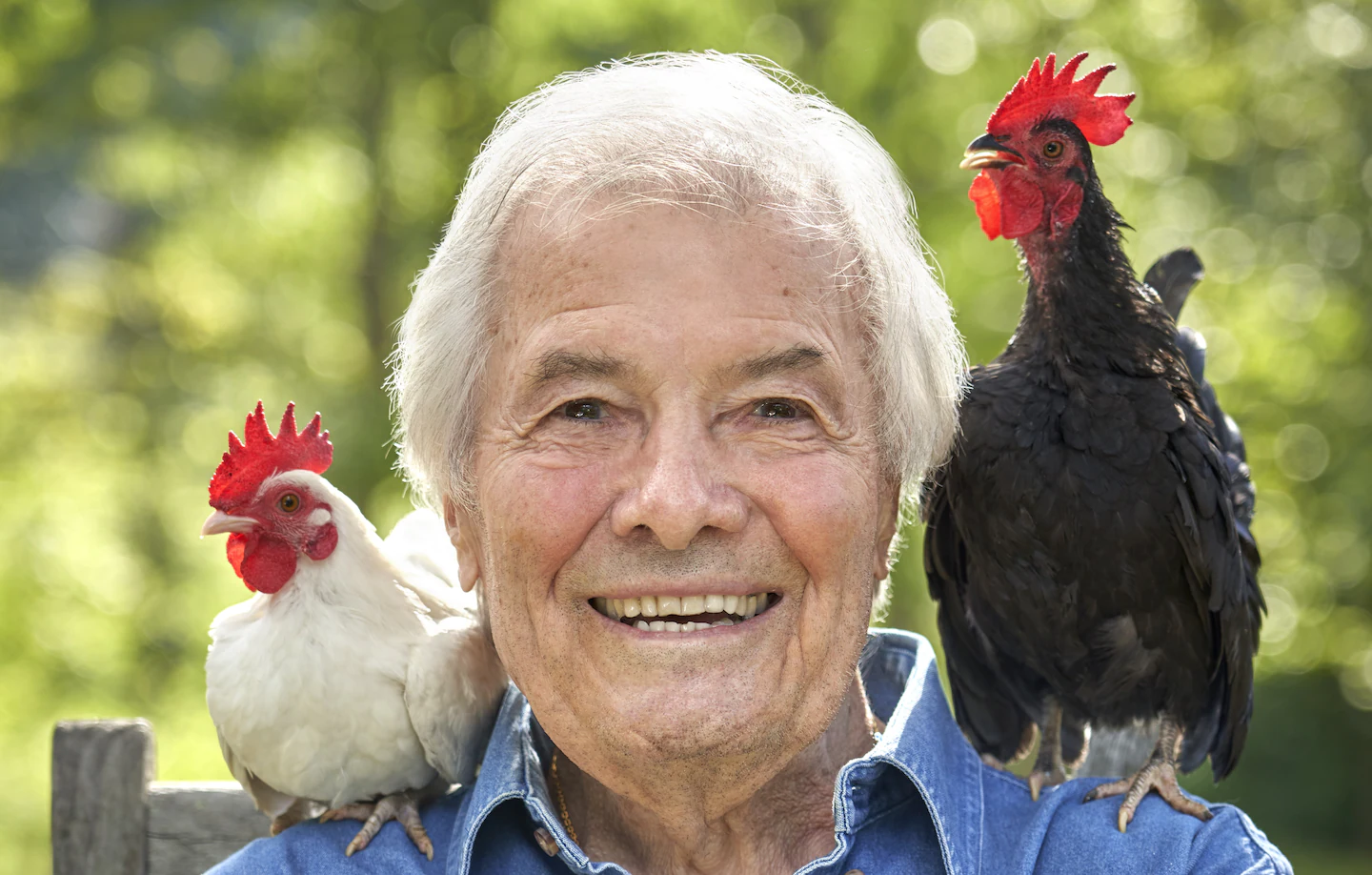 Jacques Pepin, at 86, talks about his new book, 'Art of the Chicken'