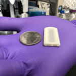 Vascularized Islet Cell Implant Device for T1D Therapy Avoids Systemic Immunosuppression