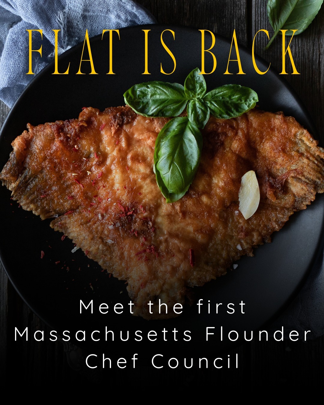 Promotional cover showing a fried fish fillet on a black plate with basil leaves, topped by a bold yellow title 'FLAT IS BACK' and the subtitle about the Massachusetts Flounder Chef Council.